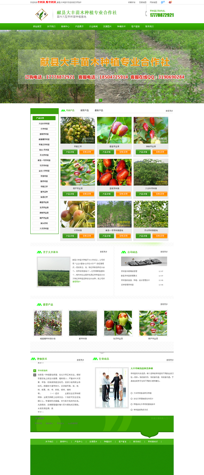 棗樹(shù)苗_酸棗樹(shù)苗_獻(xiàn)縣大豐苗木歡迎你.png